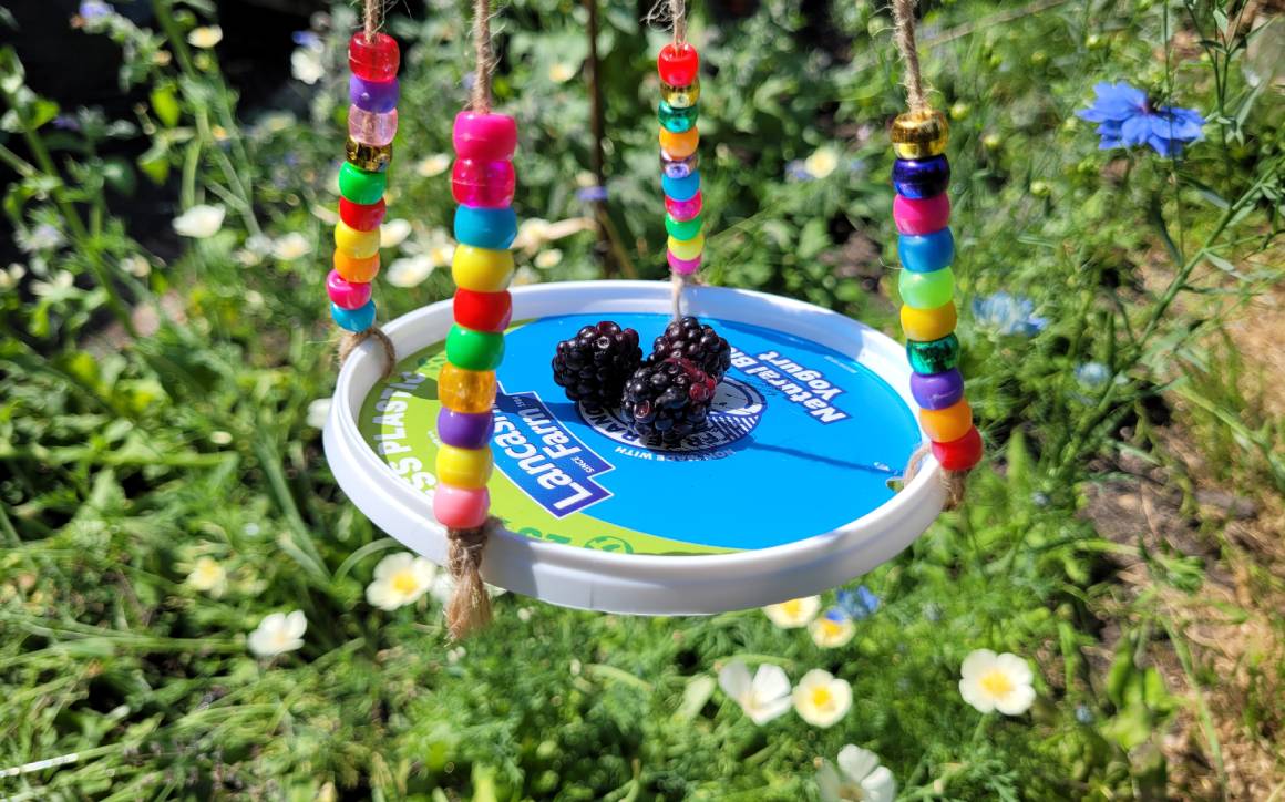 Make your own Butterfly Feeder