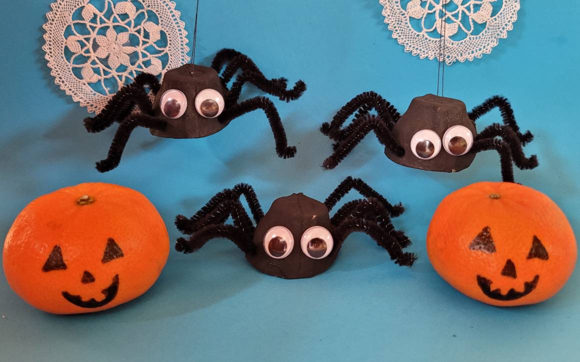 Egg Box Spiders