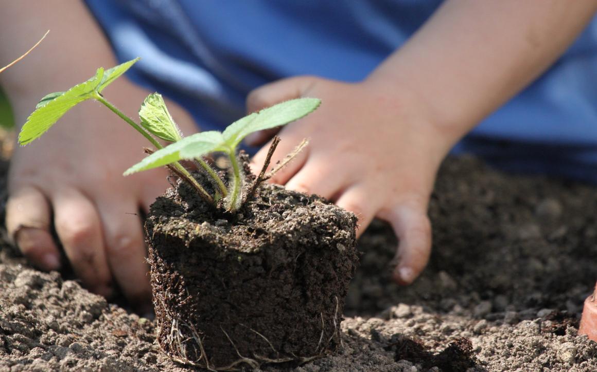 Gardening with Children