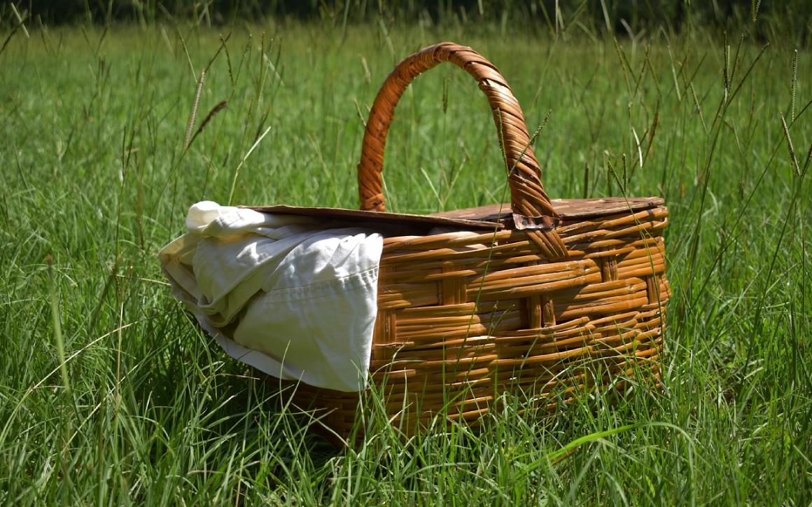 Why are Picnics good for Children?
