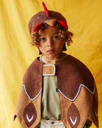 Child wearing the brown hen hat and brown feathered bird cape, standing against a bright yellow fabric background.